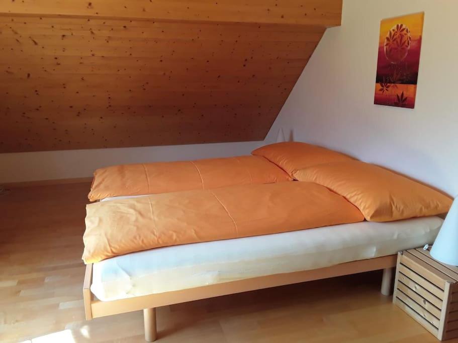 Zwinglis Ferienwohnung Rosi Nesslau Экстерьер фото
